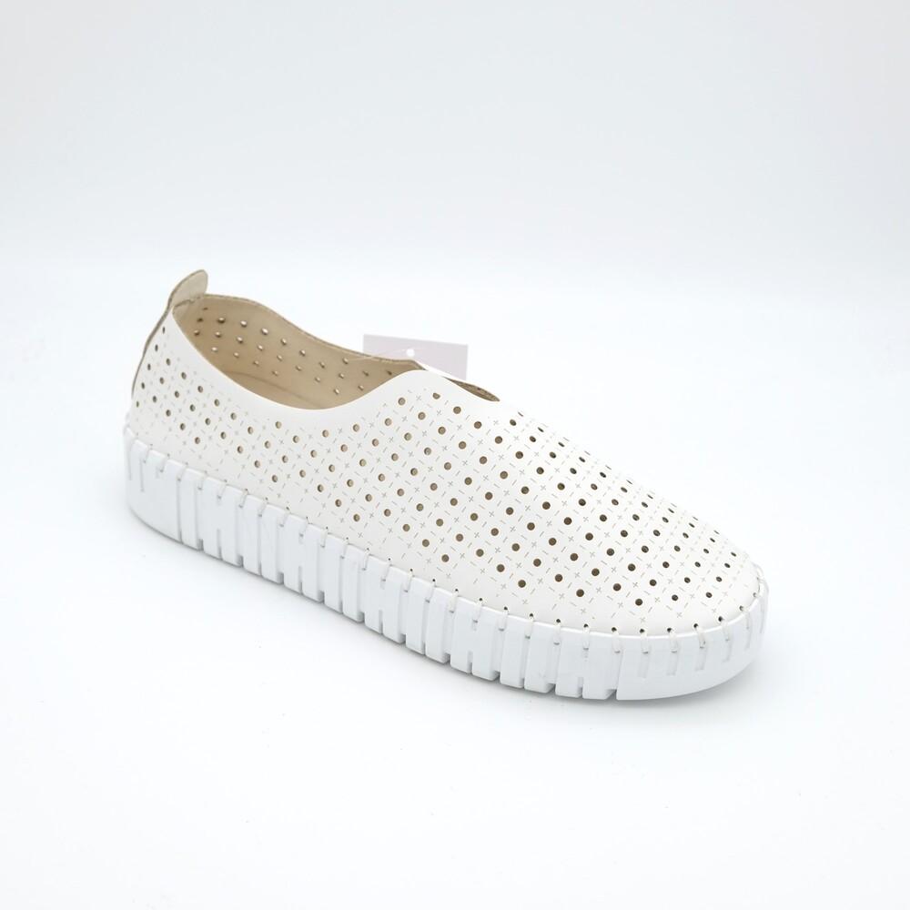 02555_8|6a86dd69f24dcdf106f0a449e9f643c8